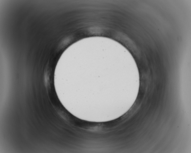 X0000086910116200705141710