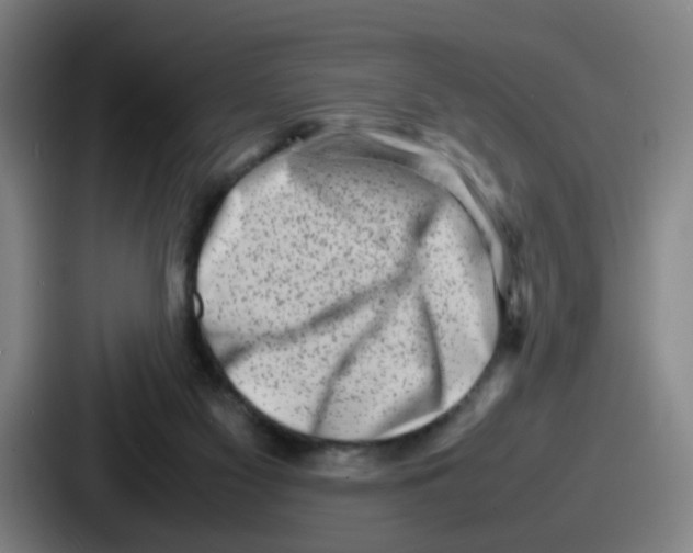 X0000086910117200705141710