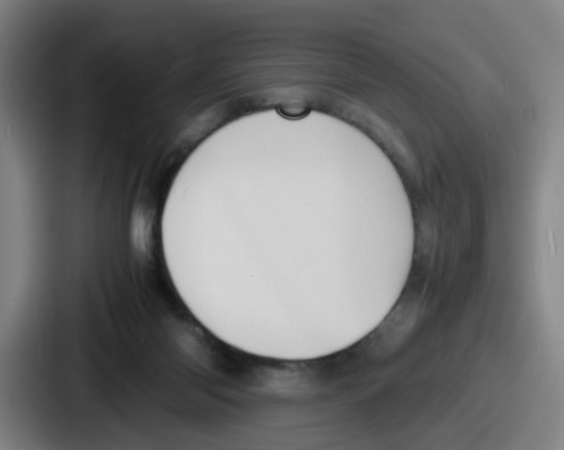 X0000086910118200705141710