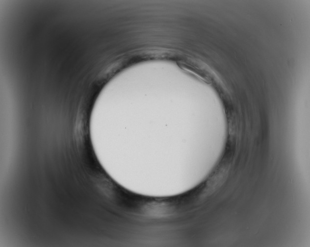 X0000086910119200705141710