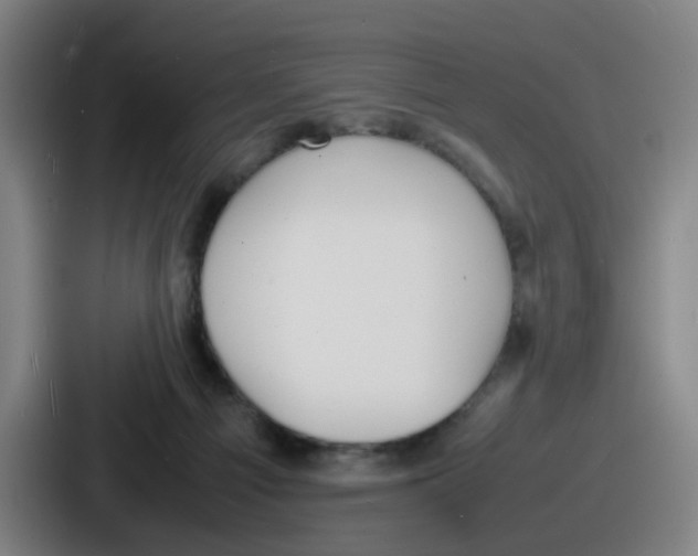 X0000086910121200705141710