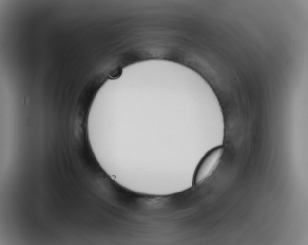 X0000086910122200705141710