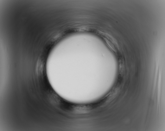 X0000086910123200705141710