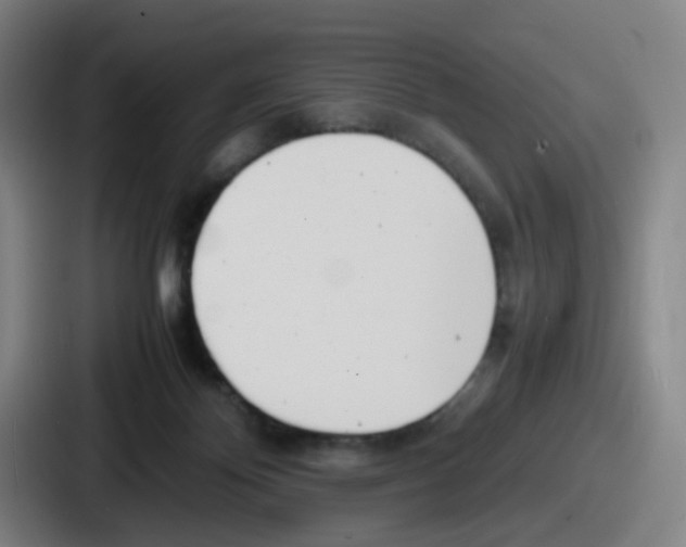 X0000086910124200705141710