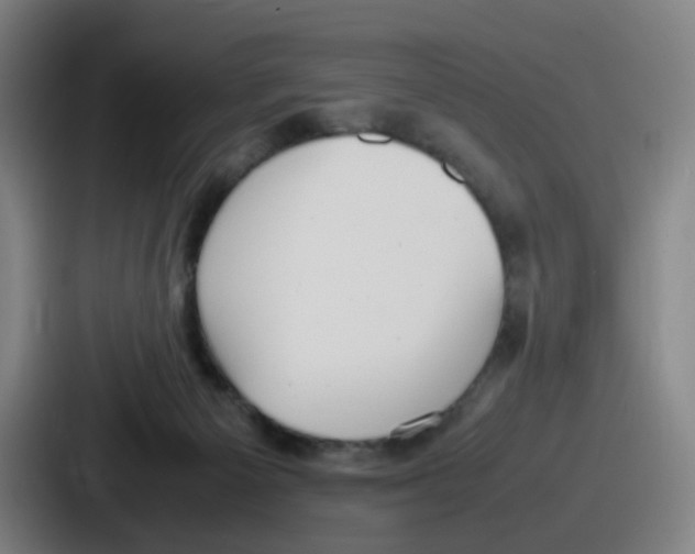 X0000086910125200705141710