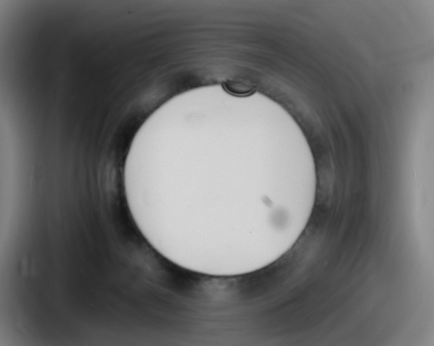 X0000086910126200705141710