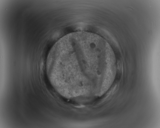 X0000086910127200705141710