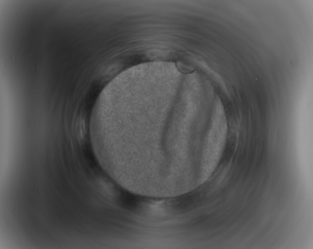 X0000086910130200705141710