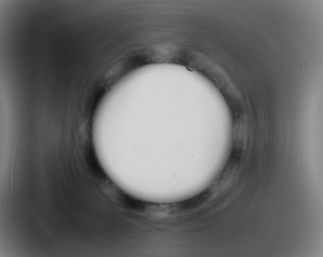 X0000086910131200705141710