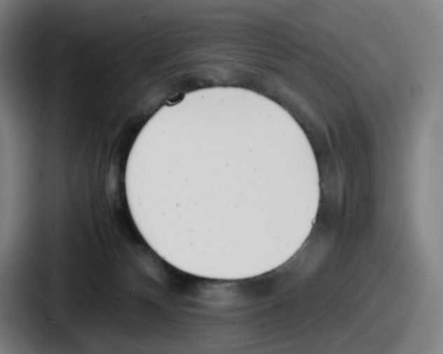 X0000086910132200705141710