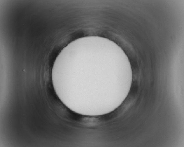 X0000086910133200705141710