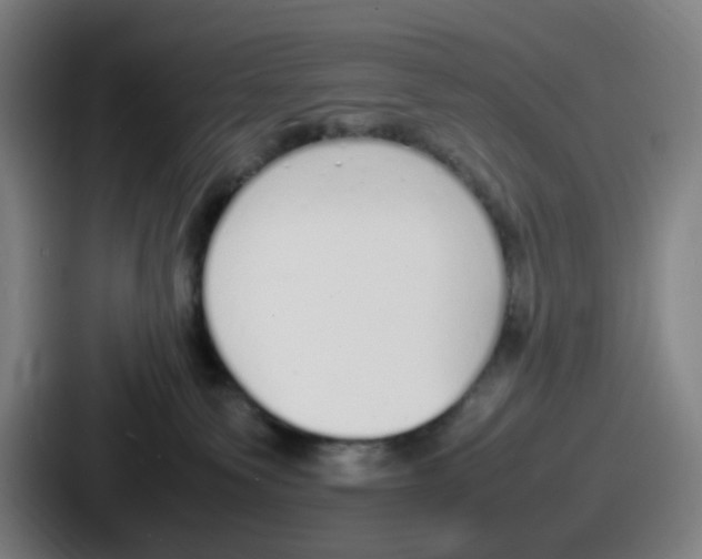 X0000086910135200705141710