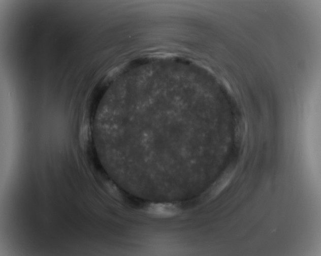 X0000086910137200705141710