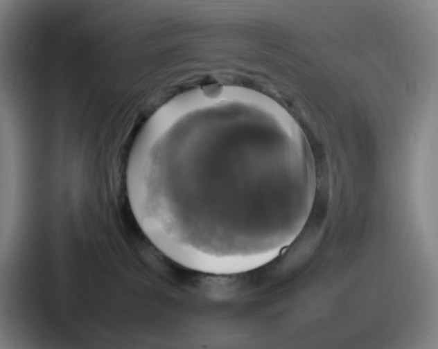 X0000086910139200705141710