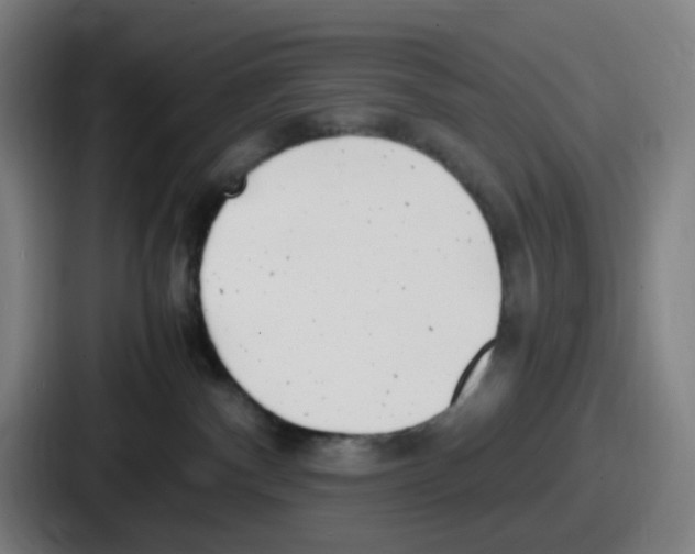 X0000086910140200705141710