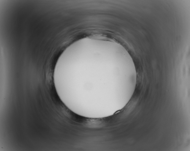 X0000086910141200705141710