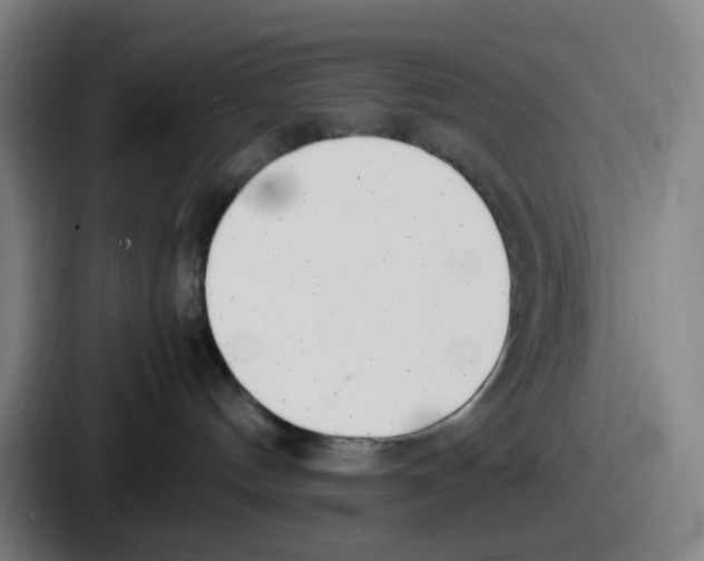 X0000086910144200705141710