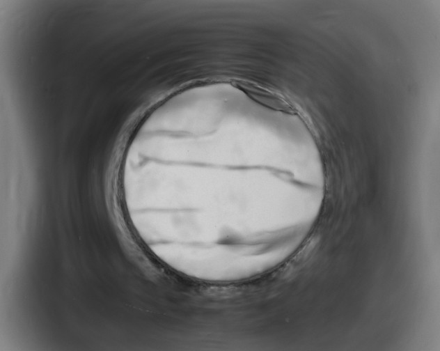 X0000086910145200705141709