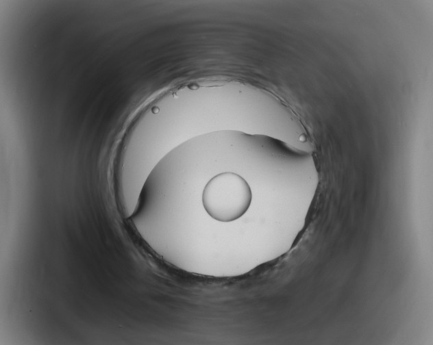 X0000086910146200705141709