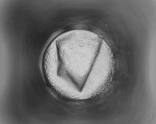 X0000086910147200705141709