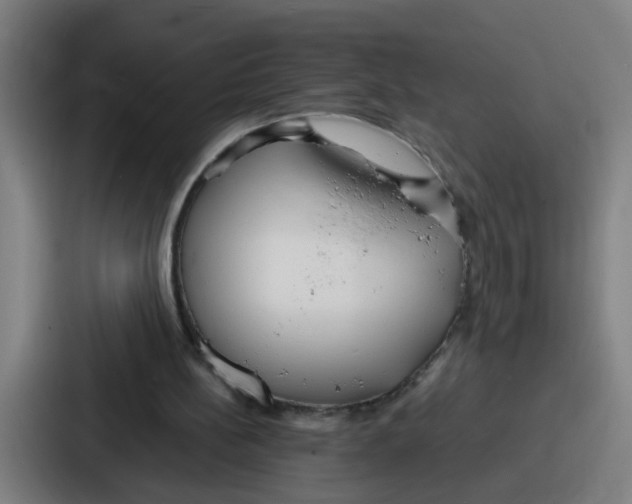 X0000086910148200705141709