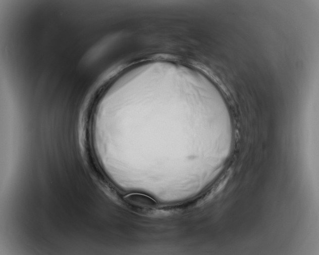 X0000086910149200705141709