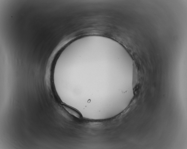 X0000086910150200705141709