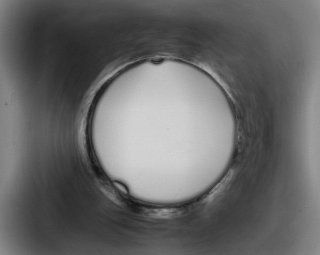 X0000086910151200705141709