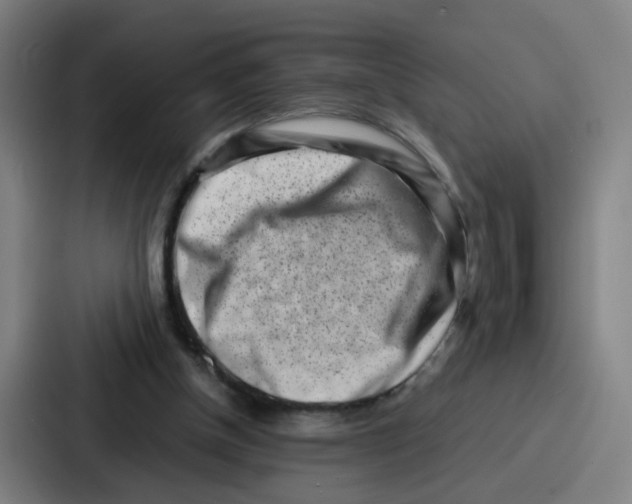 X0000086910154200705141709