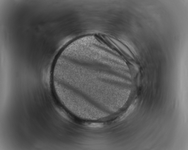 X0000086910156200705141709