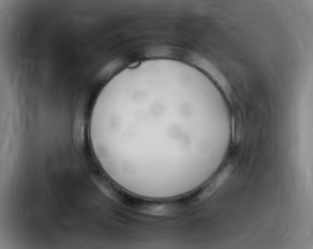 X0000086910157200705141709