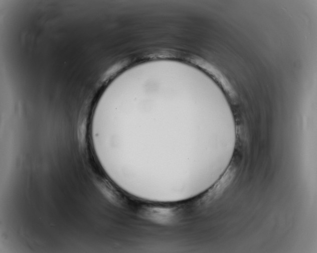 X0000086910159200705141709