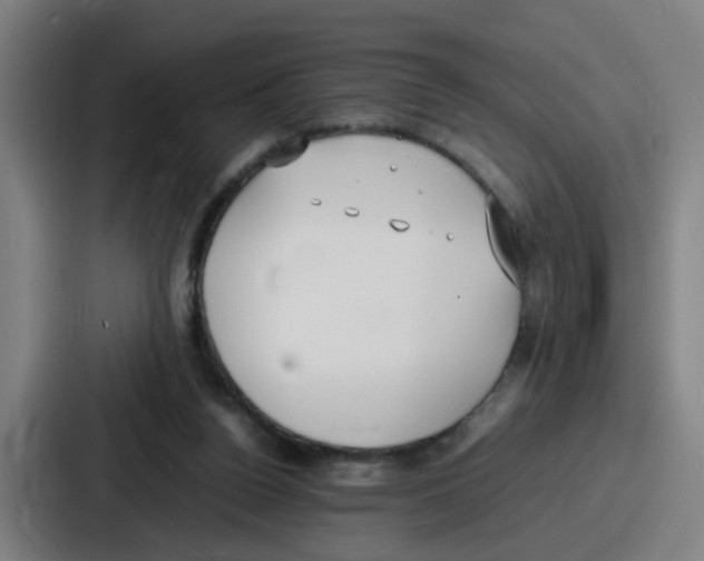 X0000086910160200705141709