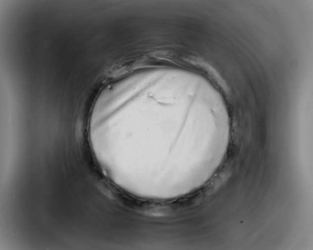 X0000086910161200705141709