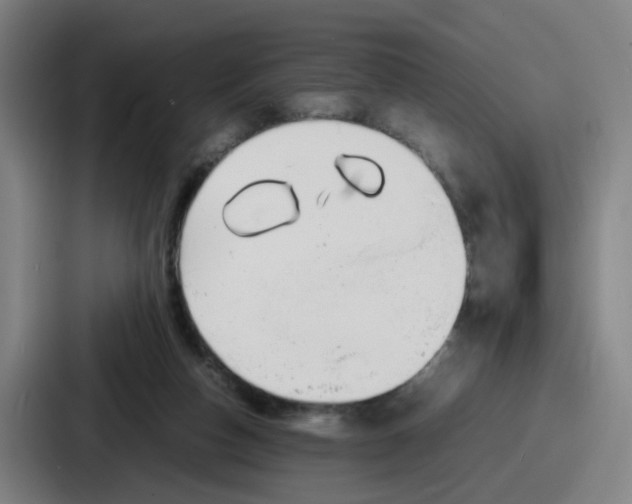 X0000086910162200705141709