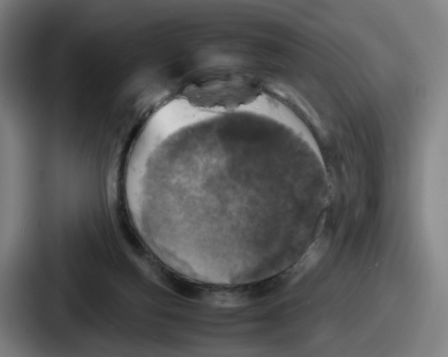 X0000086910163200705141709