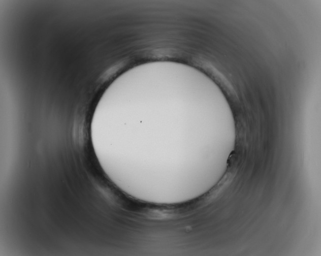 X0000086910164200705141709