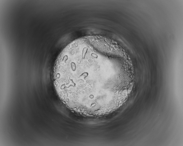 X0000086910169200705141709