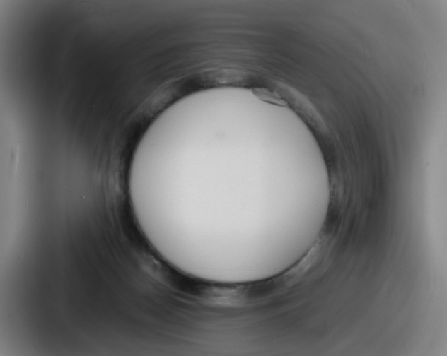 X0000086910170200705141709