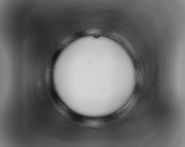 X0000086910171200705141709