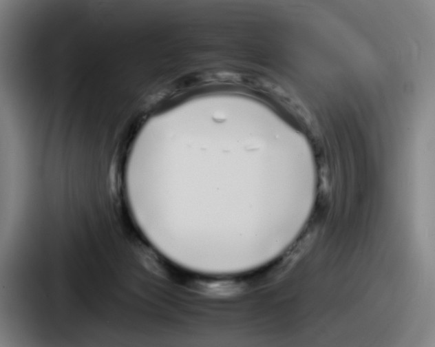 X0000086910173200705141709