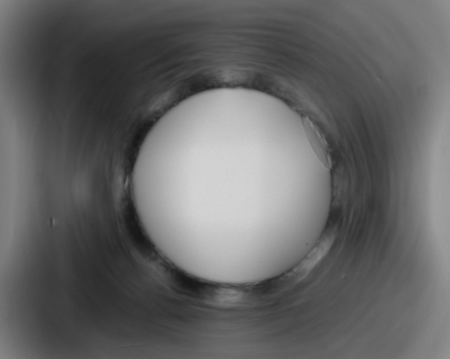 X0000086910176200705141709