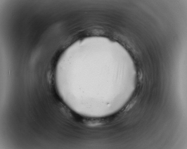 X0000086910177200705141709