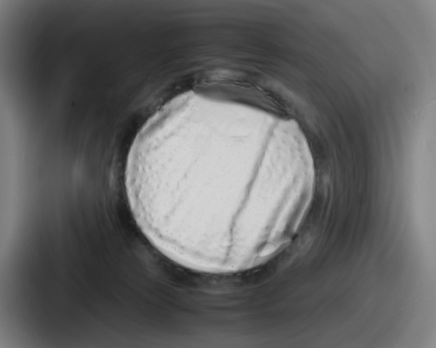 X0000086910181200705141710