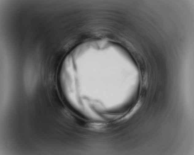 X0000086910182200705141710