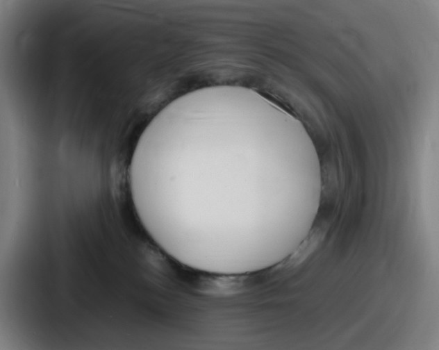 X0000086910184200705141710