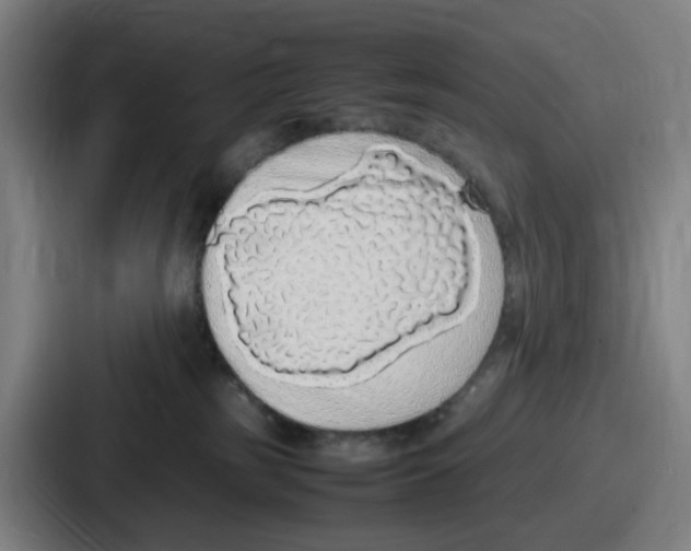 X0000086910185200705141710