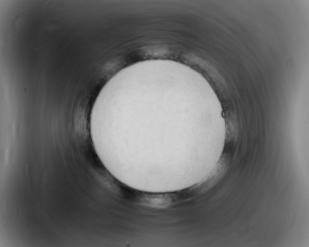 X0000086910187200705141710