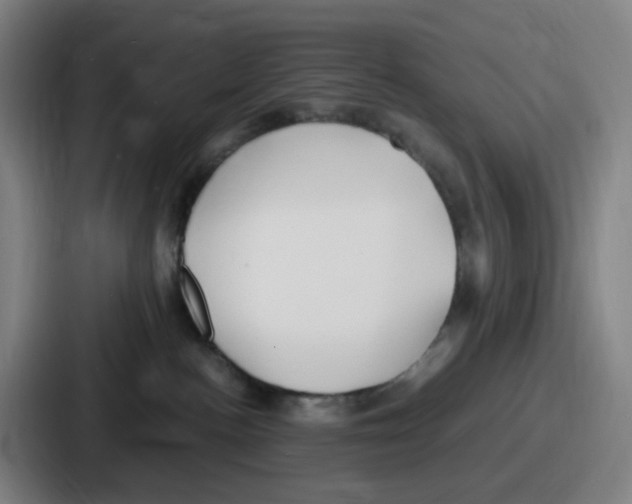 X0000086910188200705141710