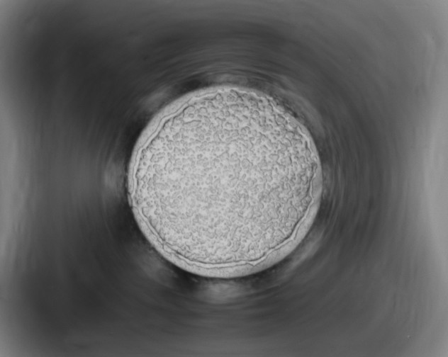 X0000086910189200705141710